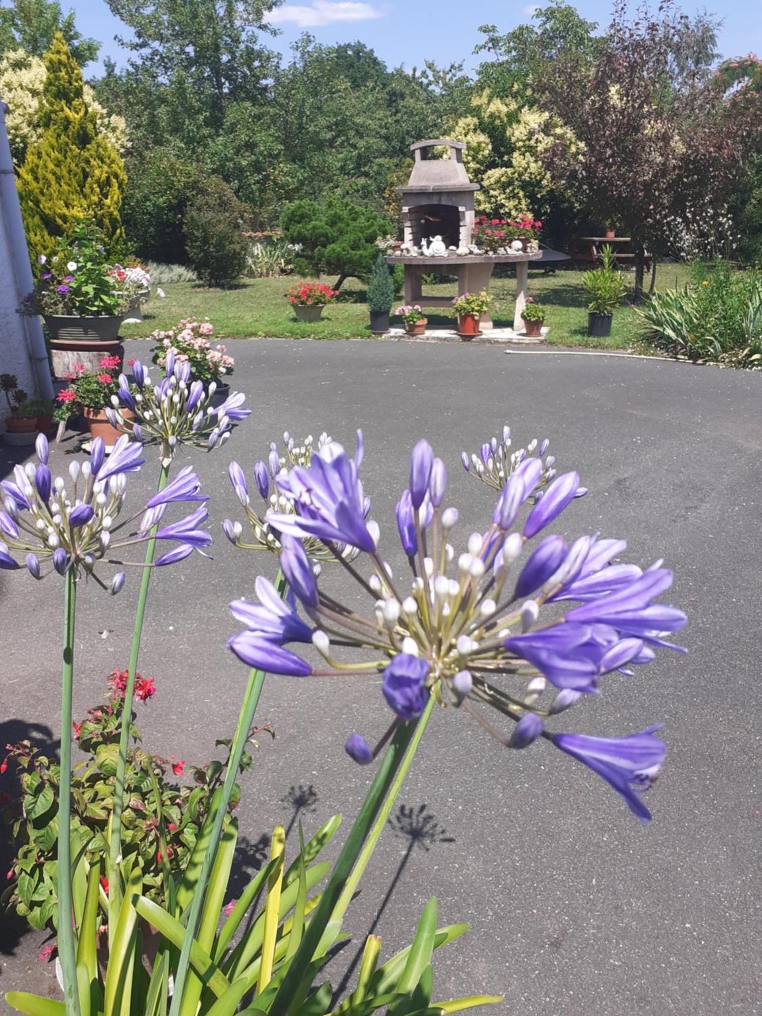 Les Hirondelles Du Paradis 6 Rue Des Oiseaux Bed & Breakfast Beaulieu-sur-Sonnette Exterior photo